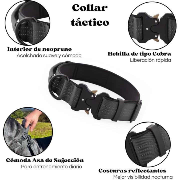 Collar Táctico con Correa para Perro  Asa Reforzada, Hebilla Metal, Amortiguador Tirones