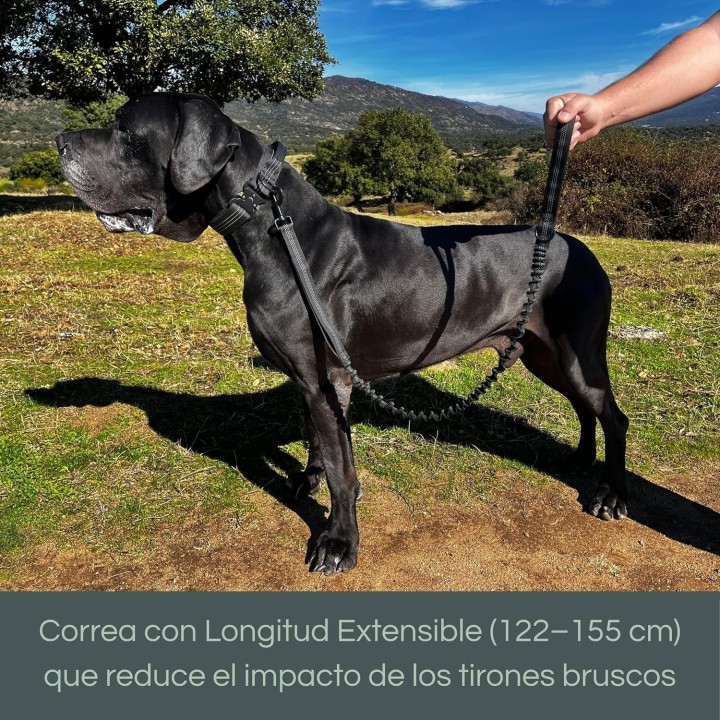 Collar Táctico con Correa para Perro  Asa Reforzada, Hebilla Metal, Amortiguador Tirones