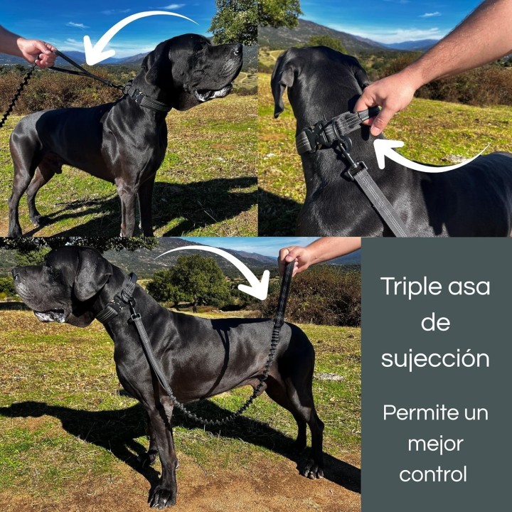 Collar Táctico con Correa para Perro  Asa Reforzada, Hebilla Metal, Amortiguador Tirones