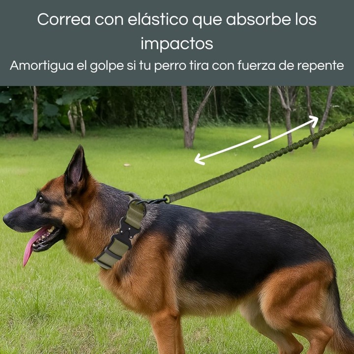 Collar Táctico con Correa para Perro  Asa Reforzada, Hebilla Metal, Amortiguador Tirones