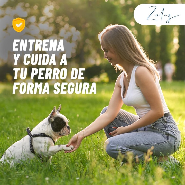 Antiladridos para Perros con Ultrasonido, 3 Frecuencias y Linterna LED