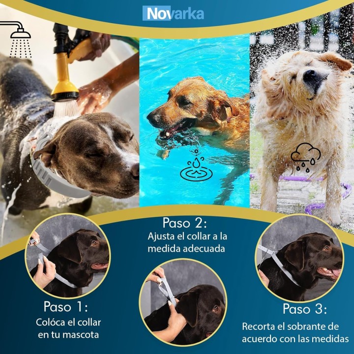 Set 3 Collares Antiparasitarios 🐶 Protección Total Contra Pulgas, Garrapatas y Más