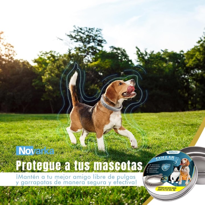 Set 3 Collares Antiparasitarios 🐶 Protección Total Contra Pulgas, Garrapatas y Más